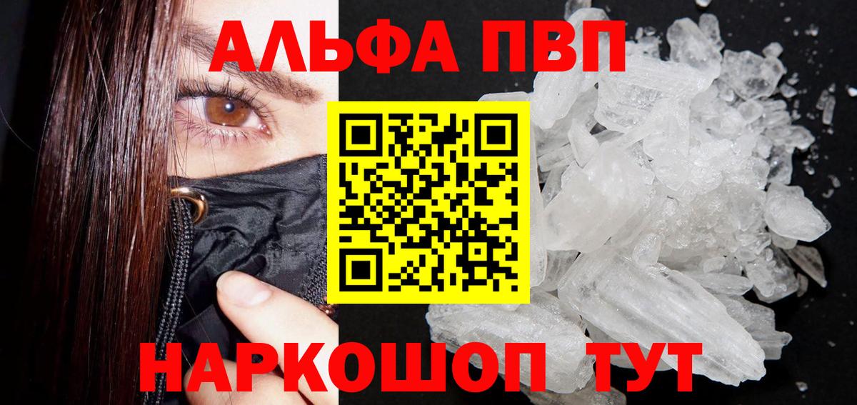 Альфа ПВП СК КРИС Бердск