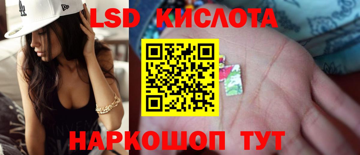   tor  Вход с VPN  Бердск  LSD-25 экстази кислота  Лсд 25 экстази кислота 